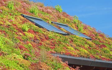 Burscough living roof systems