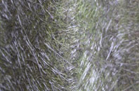 Burscough fibreglass roof work